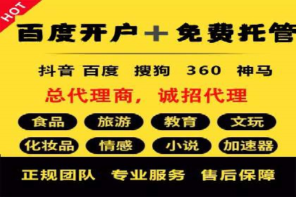 SEM代理服务：提升广告投放效果